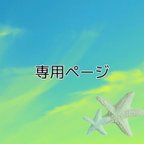 作品専用ページです✩.*˚