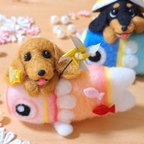 作品鯉のぼり ダックス レッド ☆ 愛犬 こどもの日 5月飾り ミニチュア 羊毛フェルト