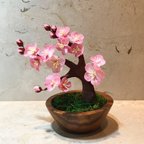 作品<クレープペーパークラフト>ミニ梅の鉢に植え🌸