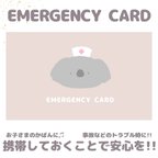 作品コアラのEMERGENCY CARD1枚 (緊急連絡先) 5.5cm×9cm