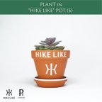 作品エケベリア レインボー（S） in “HIKE LIKE”  POT