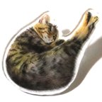 作品変な寝方のキジトラ猫ブローチ