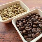 作品コスタリカ ハニープロセス ジャガーコーヒー 自家焙煎豆 選べる内容量 100g  200g  300g 送料無料 【PIYOCOFFEE】