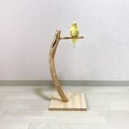 作品【流木の止まり木】高さ約53cm！鳥 インコ くぼみがポイント、おしゃれな止まり木