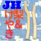 作品JH.けやき梨の木新品.犬用おもちゃ、超型犬向け歯固めかじり木