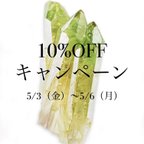 作品【10%OFFキャンペーン】5/3（金）〜5/6（月）4連休限定