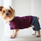 作品犬服　手作りのおててがかわいく見える袖付きカットソー+パンツ　赤ボーダー