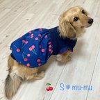 作品再販🐶犬服【🍒チェリーのバルーンワンピ👗ネイビー】