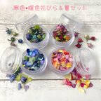 作品ドライフラワー 花材 素材 リトルウッズ ヘッド蕾染め＆花びら  ケース入り