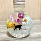 作品＊小さな動物たちのハーバリウム お散歩猫ちゃん 春色