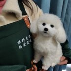 作品【世界に一つだけのうちの子ミニチュア】　羊毛フェルト作品　羊毛から作る　愛犬　愛猫　愛兎　名入り オーダー