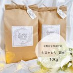 作品令和5年 キヌヒカリ 玄米 10kg　【京都府産】