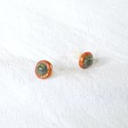 作品陶器のピアス＊樹脂ピアス/piercing made of ceramic