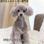 作品愛犬さんのオーダー　うちの子オーダー　リアル　羊毛フェルト　オーダー　犬　置物　ペット　オーダーメイド　メモリアル　ペットロス　チワワ　トイプードル　ダックス　ポメラニアン　柴犬　パピヨン　ペット作成