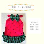 作品専用 犬服  キャミソール スイカの服-B  特注サイズ　送料無料　nskB01