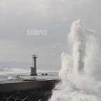 作品「昇運白龍」写真（展示会用額入り）