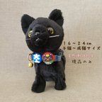 作品【感謝価格】猫の首輪🐈‍⬛ ͗