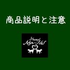 作品☆商品説明と注意☆ご購入前にお読みください