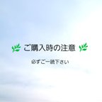 作品ご購入時の注意