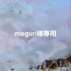 作品meguri様専用