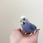 作品羊毛フェルトのセキセイインコ【オーダーメイド】