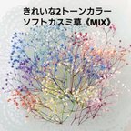 作品【再販】《ケース入り》きれいな2トーンカラー✨ソフトカスミ草《MIX》