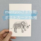 作品muntyooさま専用　ポストカードセット