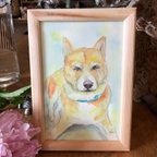 作品[売約済み]MIX犬のごんちゃんの肖像画（絵画水彩画）