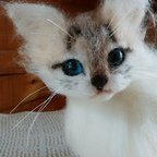 作品青いおめめの子猫ちゃん