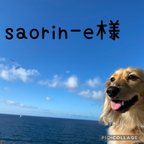 作品ꕤ︎︎saorin-e様ꕤ︎︎