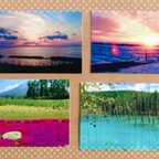 作品【送料無料】風景写真(北海道)★ポストカード4枚セット