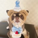作品犬用＆猫用  誕生日帽子🎂水色パーティーハットを被ったくまさん帽子🧸 お祝い、パーティーに❣️