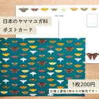 作品【2枚セット】日本のヤママユガ科　蛾のポストカード