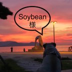 作品Soybean様オーダー分