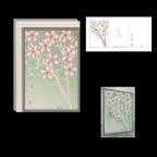 作品切り絵ポストカード/四季の移ろい「朝桜」