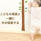 作品一緒に育つ 身長計 ウォールステッカー メモリ 名入れ【キッズデザイン賞】　子ども  s113-new