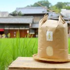 作品【金鵄米/玄米/3kg】きんしまい2023年産冷めても美味しいヒノヒカリ