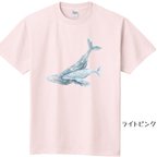 作品沖縄のザトウクジラTシャツ キッズ