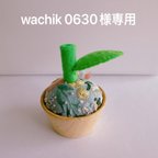 作品wachik0630様専用みかんちゃん🍊