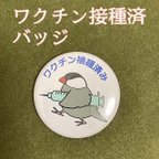 作品【送料無料】桜文鳥・ワクチン接種済バッジ