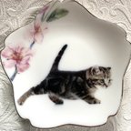 作品猫と桜の小皿・その6
