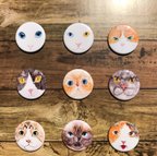 作品オリジナル猫缶バッジ1個300円まとめ買いがお得！！