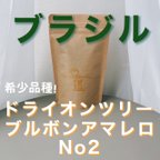 作品《希少品種》ブラジル ドライオンツリー 200g 自家焙煎珈琲豆 コーヒー豆