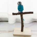 作品『天然木スタンド』白樺ミニ004：オカメインコ・オキナインコなど用