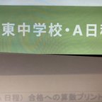 作品栄東中学校・A日程　2025年新合格への算数＆理科プリント ◆特訓プリント付き