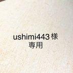 作品ushimi443様専用