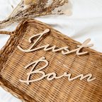 作品送料無料𓅮Just Born  木製レターバナー  レターバナー　ニューボーンフォト 新生児　出産祝い