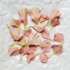 作品☆ドライフラワー☆　カーネーションの花びら　くすみサーモンピンク　　　　花材　素材　無着色