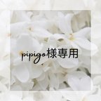 作品pipigo様専用