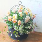 作品❁カクテルドレス　春の可愛いお花の寄せ植え　贈りものにも